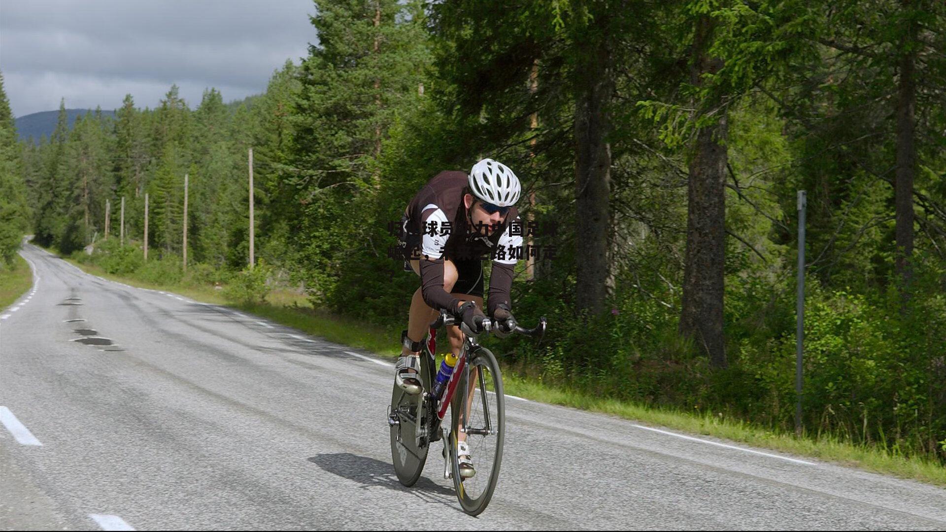 归化球员助力中国足球崛起,未来之路如何走?